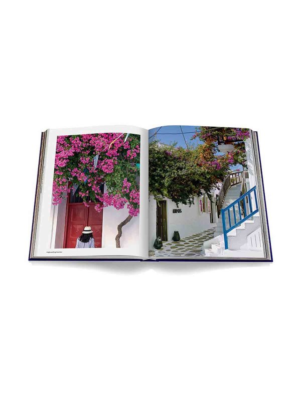 Libro Mykonos Muse