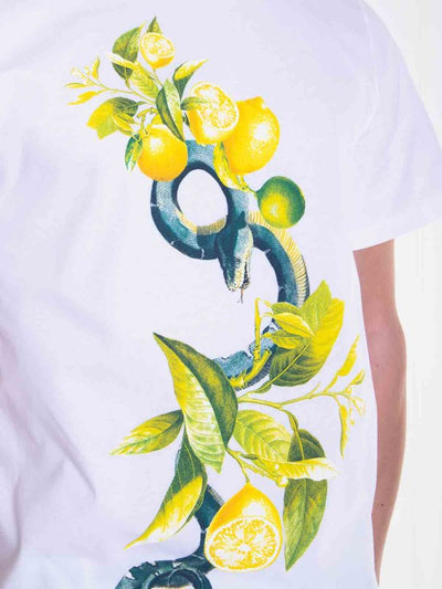 T-shirt Girocollo