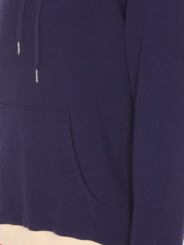 Felpa Con Cappuccio Regolare Blue Star