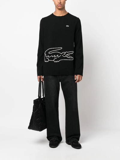 Maglia