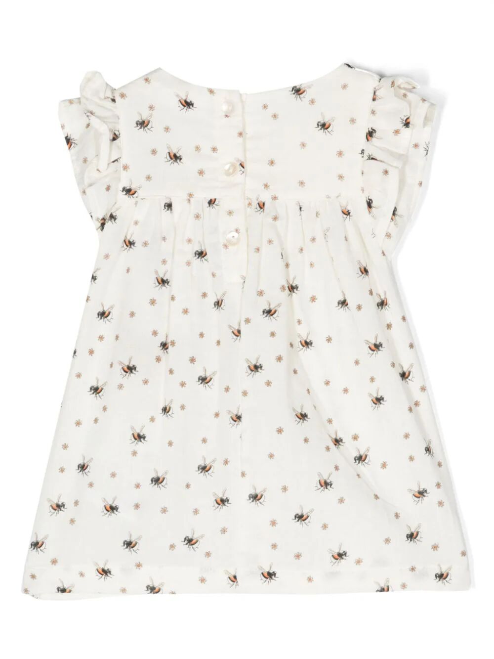 Cachea Dress