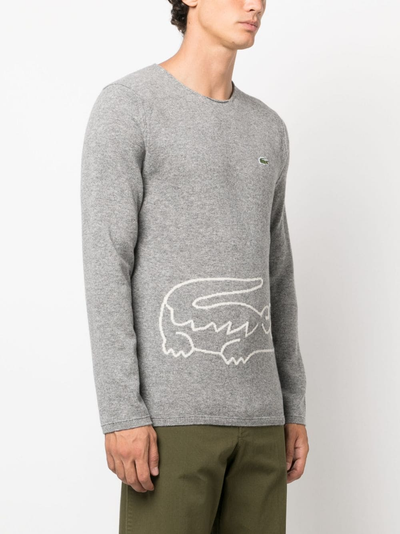 Maglia