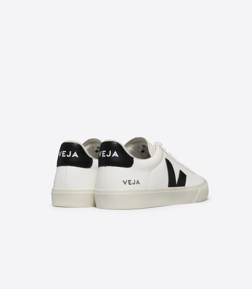Sneakers Campo Chromefree