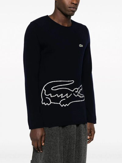 Maglia