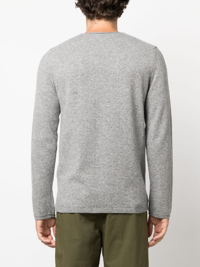 Maglia