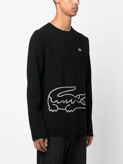 Maglia